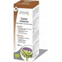 Cynara Scolymus - Plantendruppels - Physalis