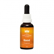 Boost Essence - Support...