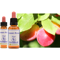 Bach healing cherry plum/kerspruim