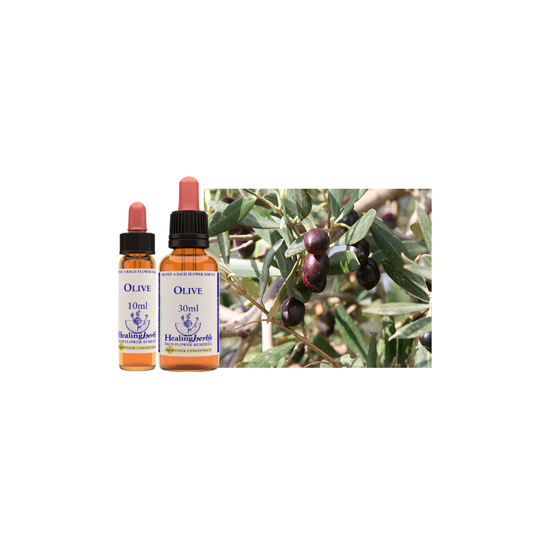 bach healing olive/olijf