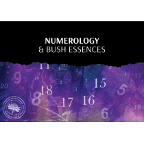 Numerologie opleiding door Ian White