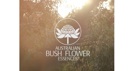 Kennismaking met Ian White, oprichter van de Australian Bush Flower Essences